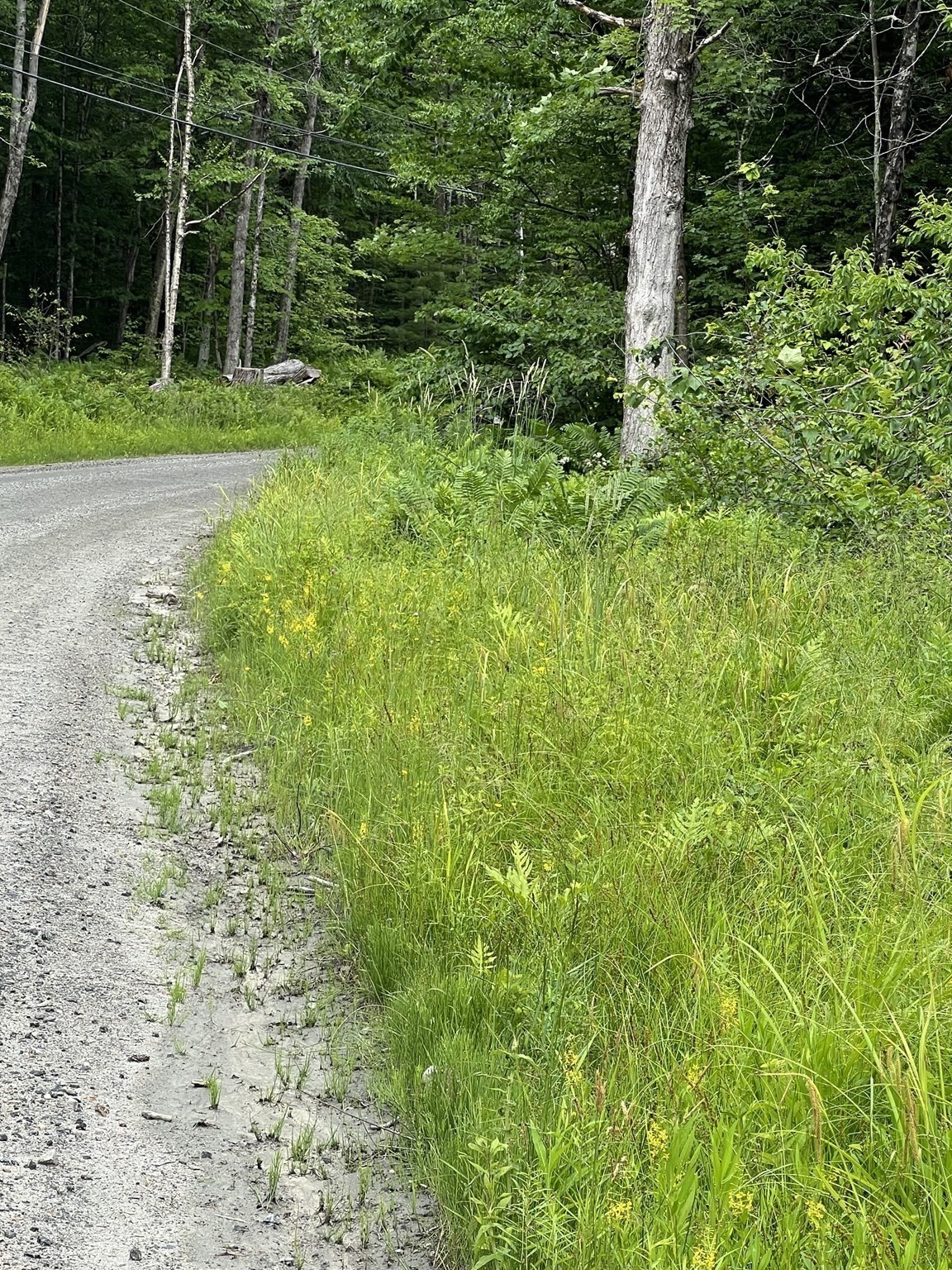 21 Becket Rd, Middlefield, MA 01243 - Image 3