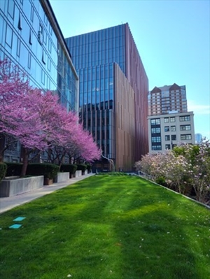 2 EARHART STREET, Apt 521