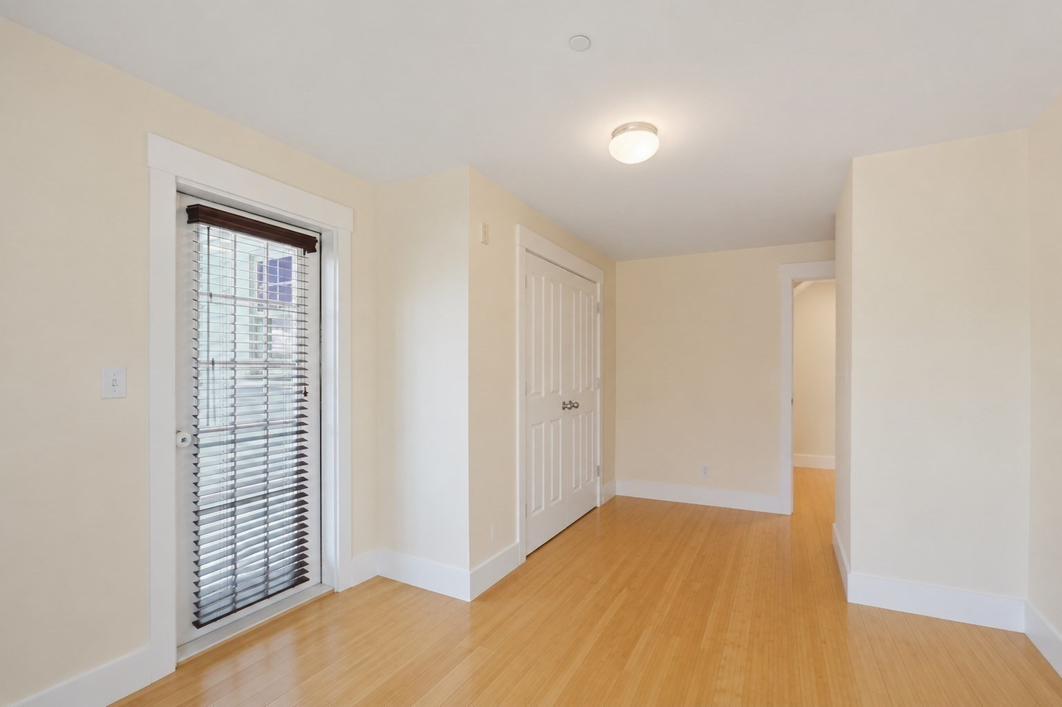 1 Paul Gore Street Unit 1, Jamaica Plain, Boston, MA 02130 - Image 11