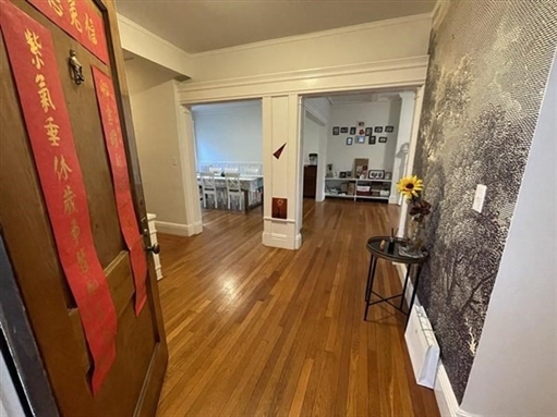 183 Babcock Street, Apt 3