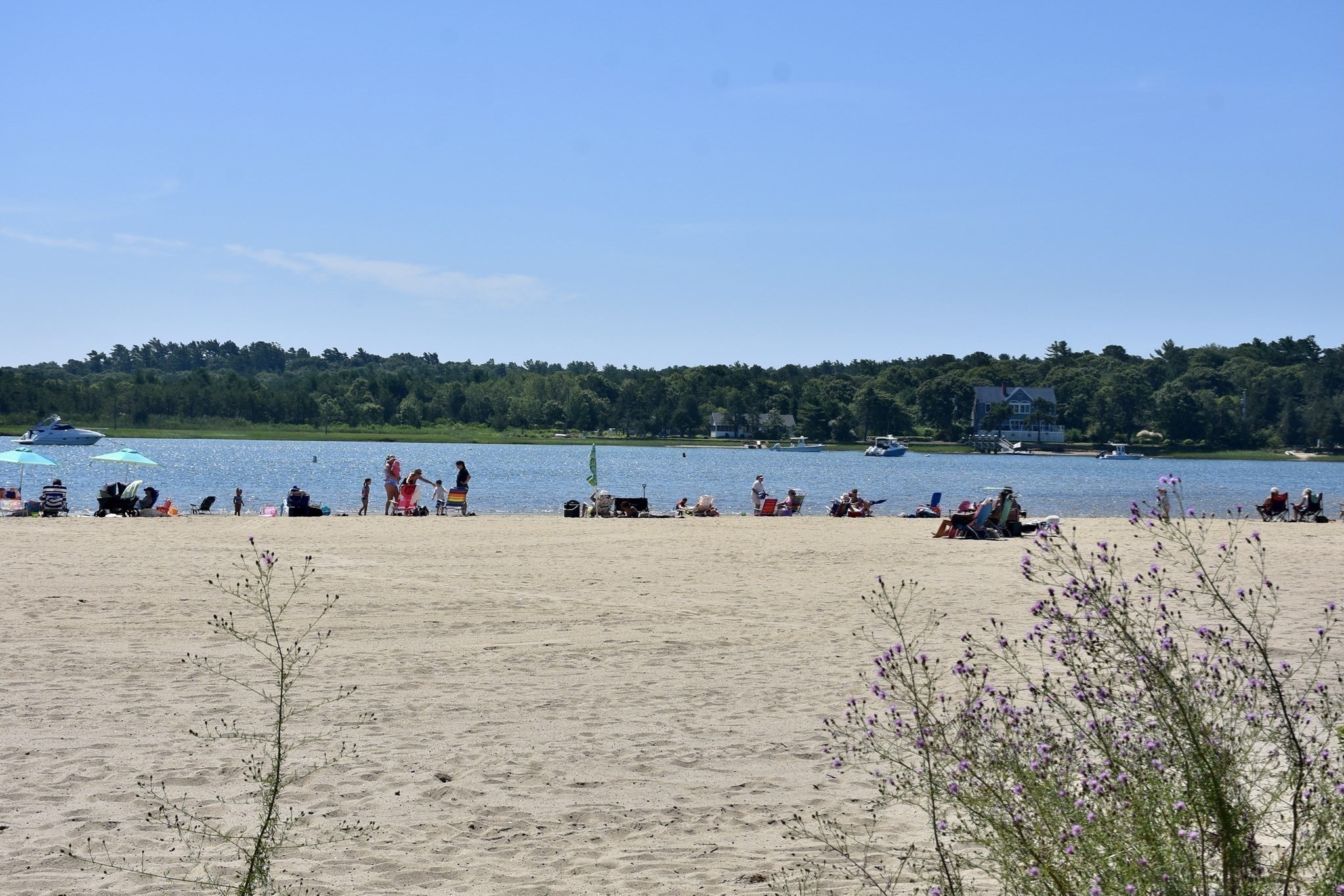 14 Longwood Ave, Wareham, MA 02558 - Image 39