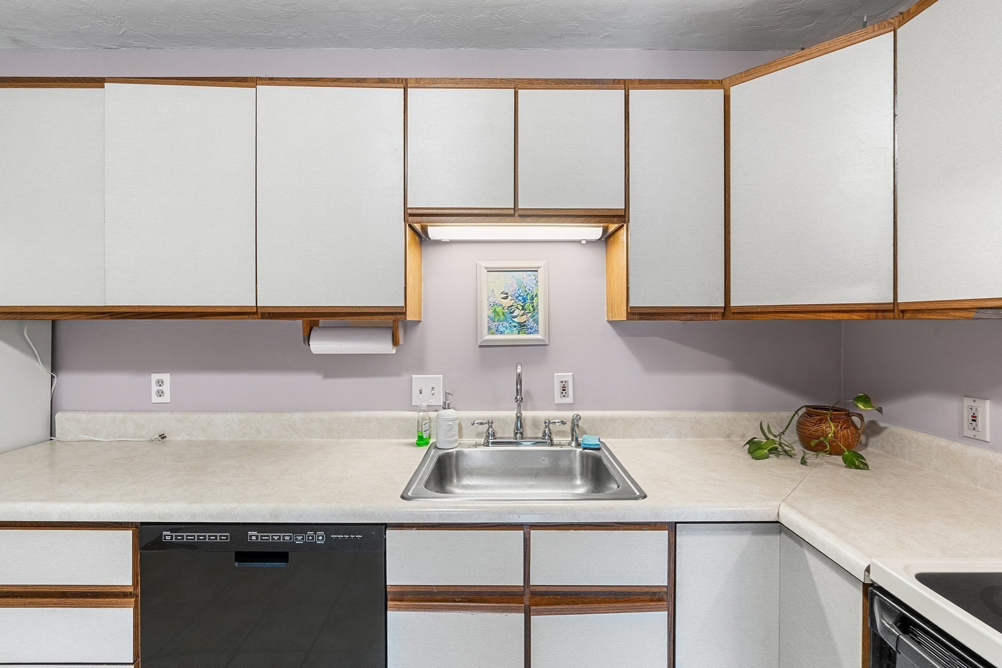 6 Apricot St Unit 10, Worcester, MA 01603 - Image 8
