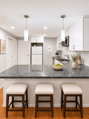 121 Tremont St, Apt 420