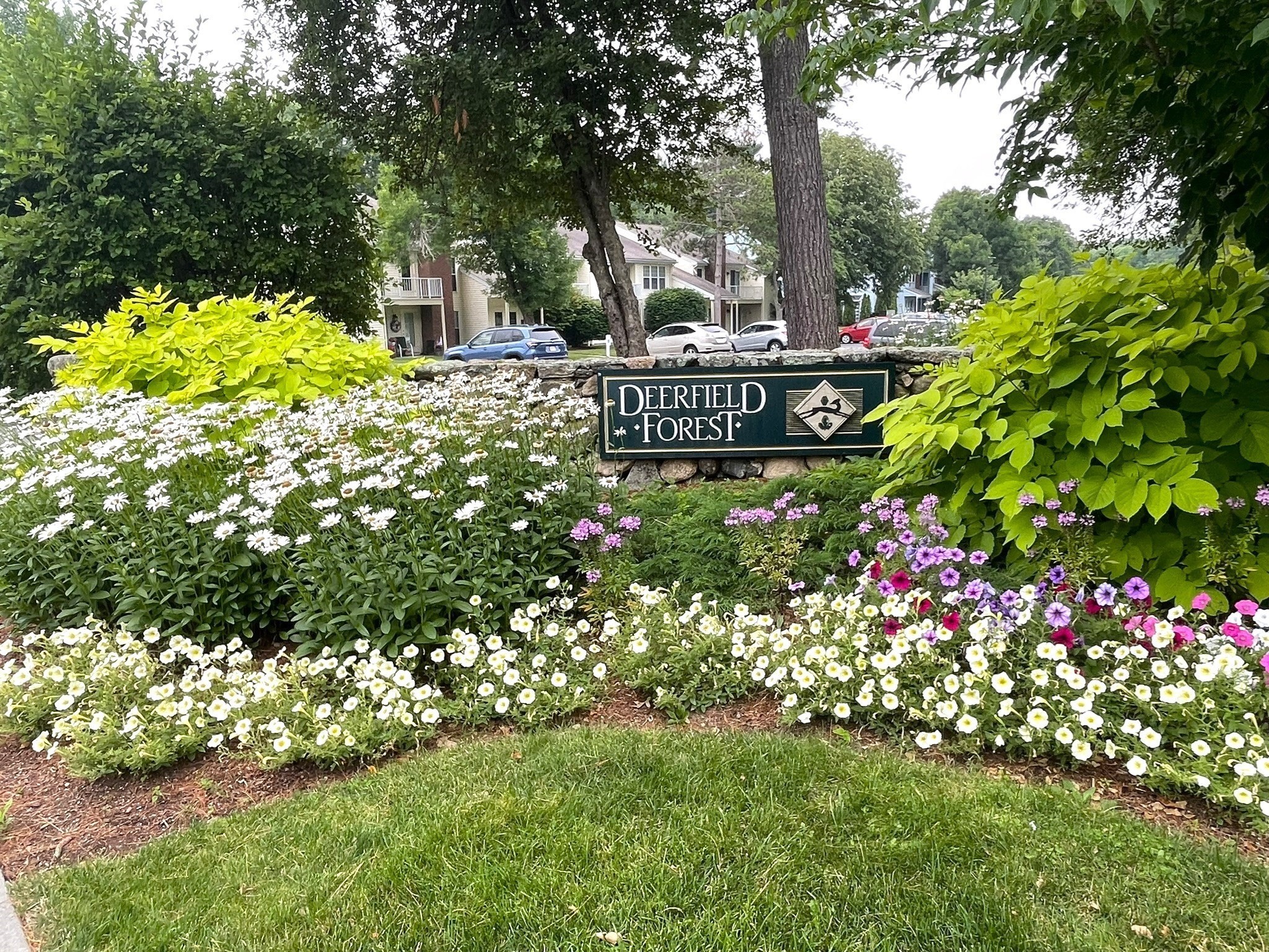 13 Walden Dr Unit 5, Natick, MA 01760