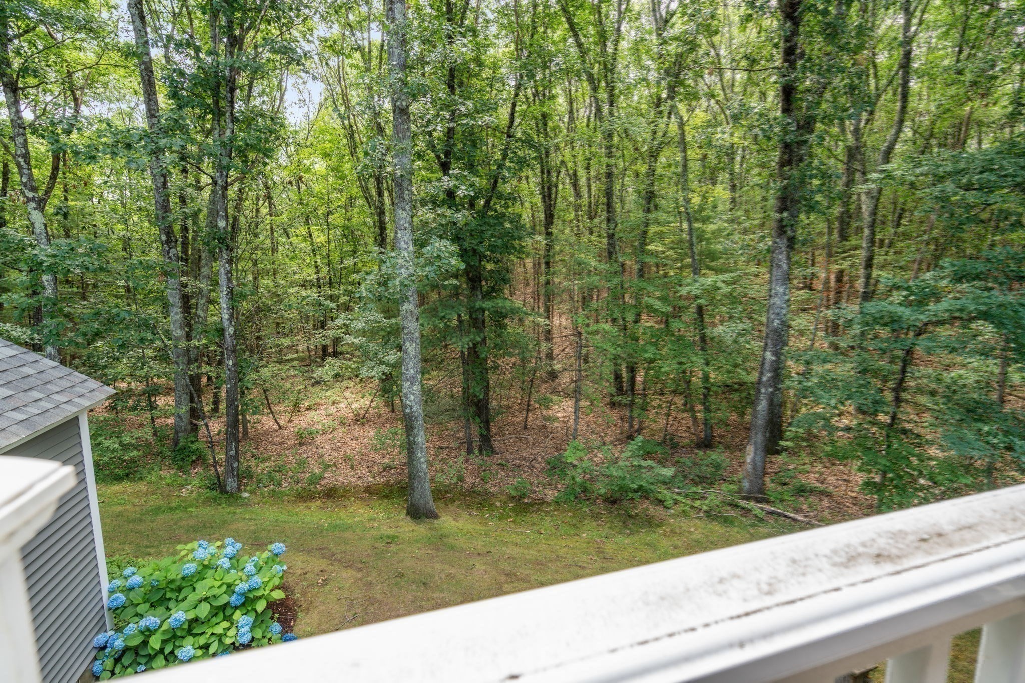 3 Steepletree Lane Unit 3, Wayland, MA 01778 - Image 30