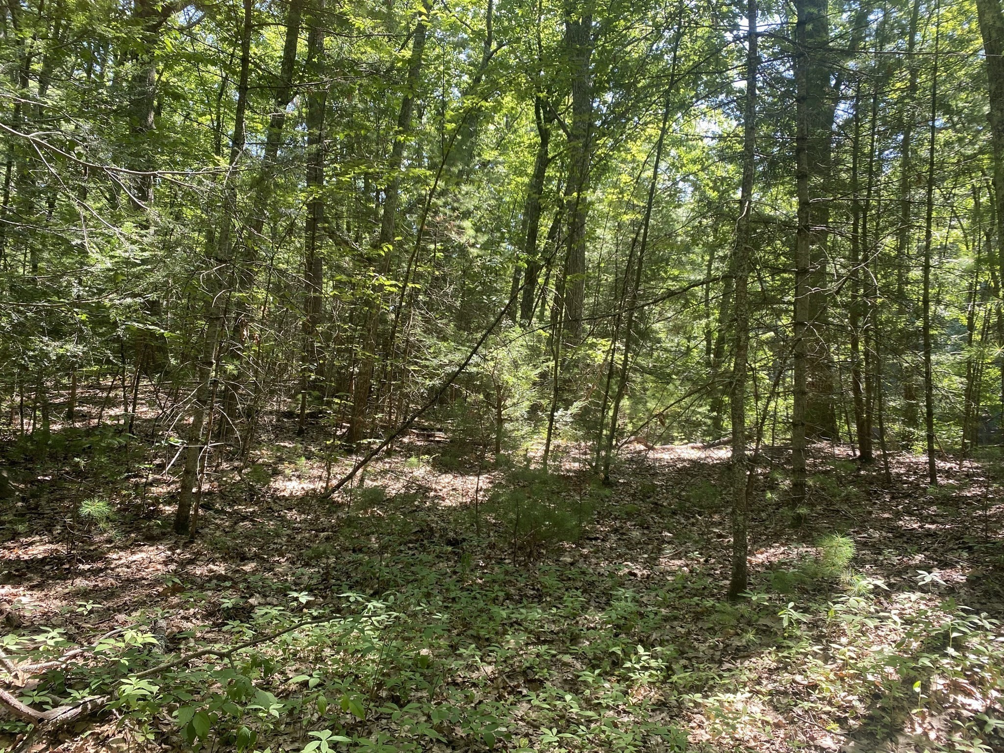 19 Bernard Whitney Rd, New Braintree, MA 01531