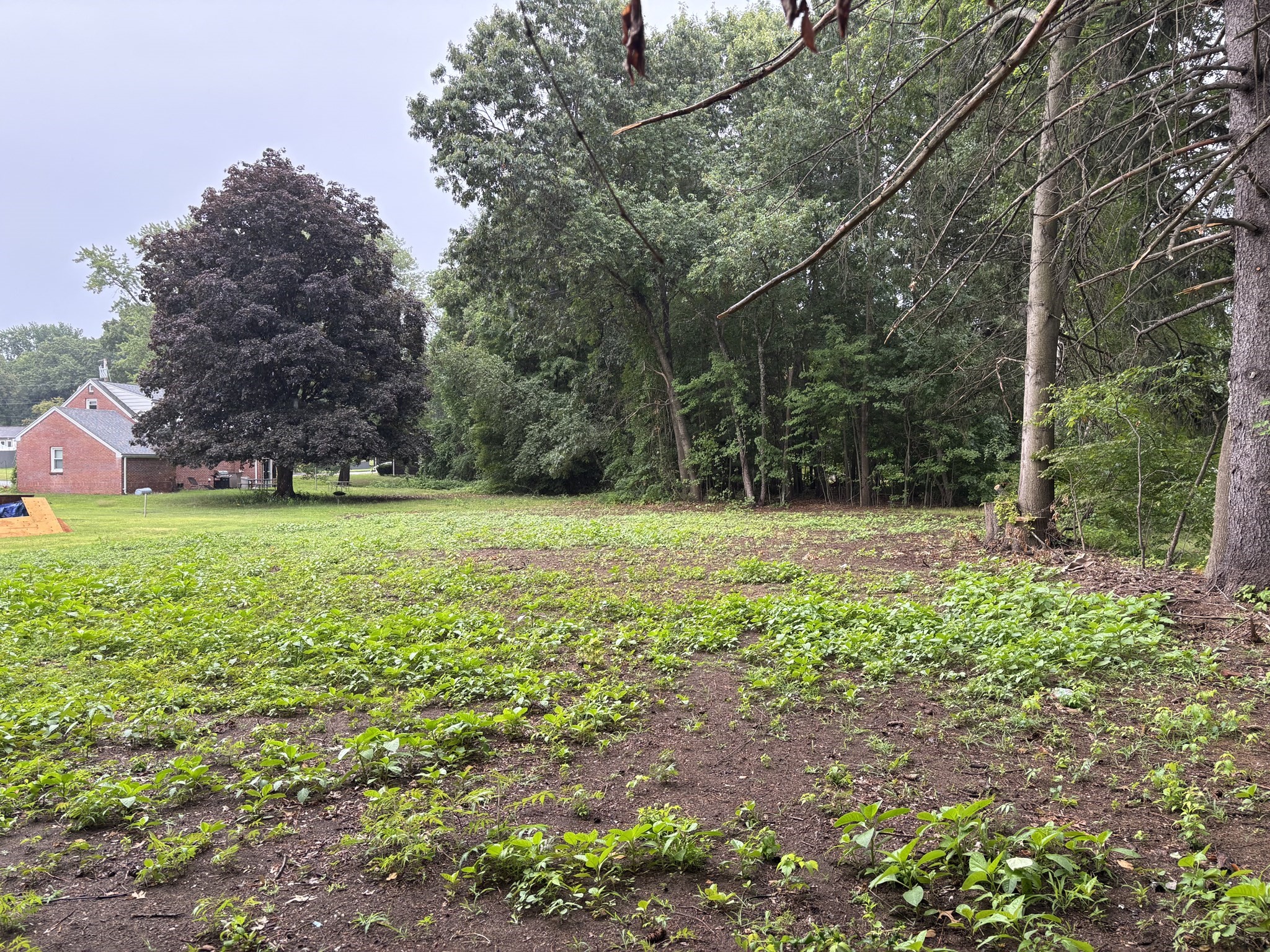 0 Mead Ave, Chicopee, MA 01020