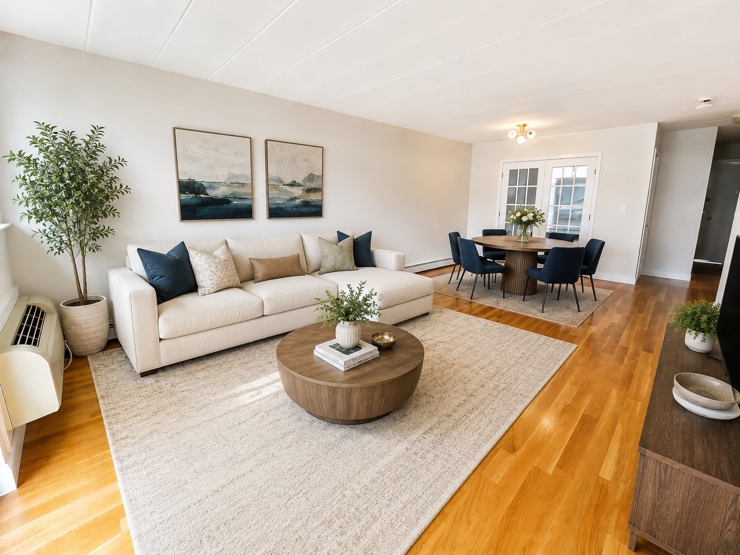 345 Harvard St Unit 3B, Cambridge, MA 02138