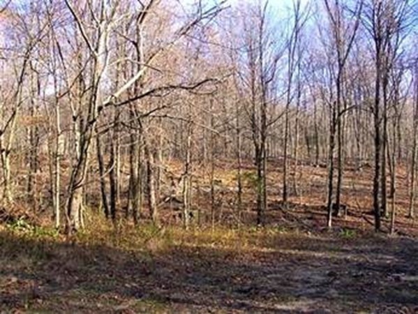 480 Mountain Road, Wilbraham, MA 01095
