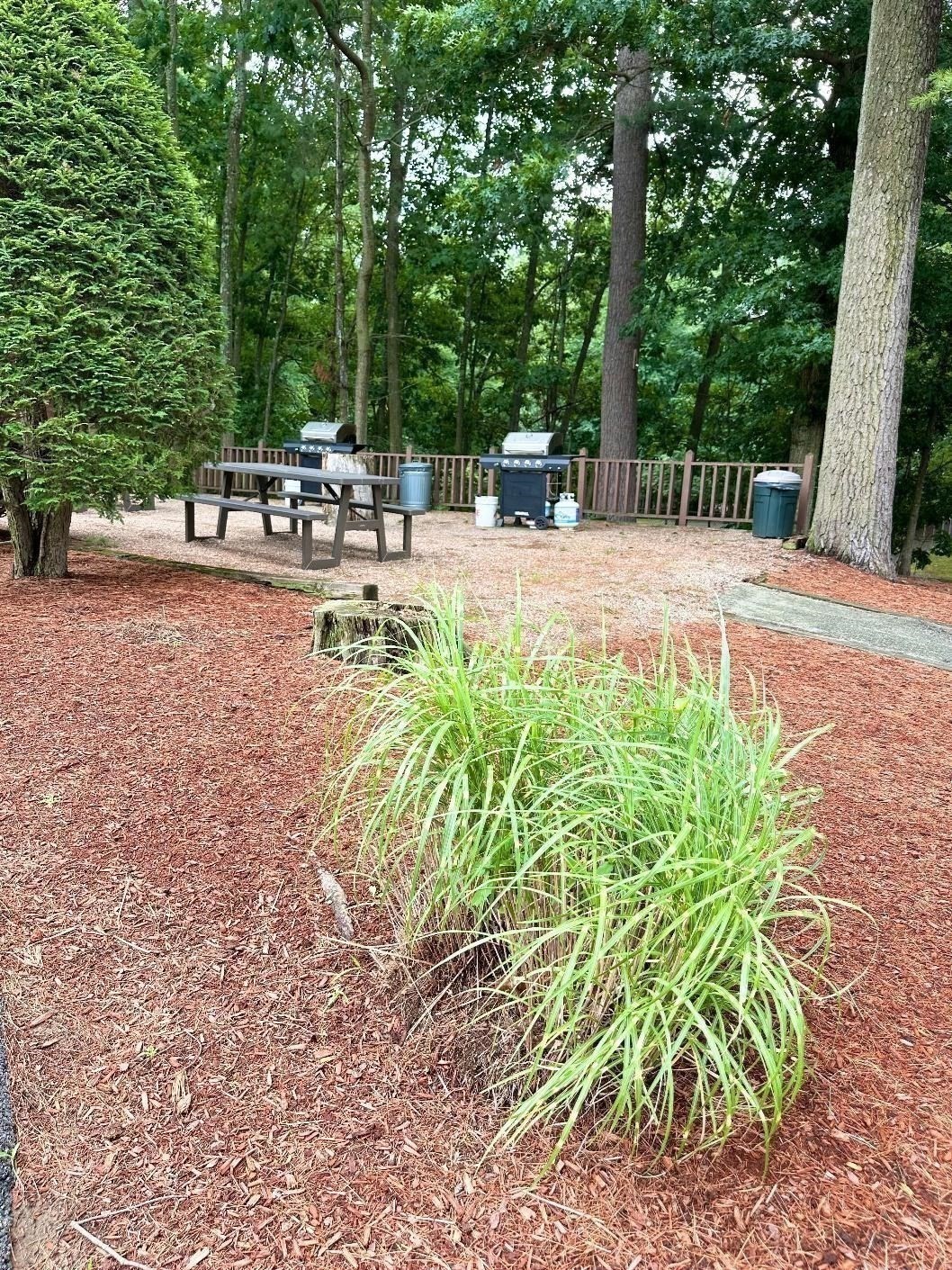 3 Greenbriar Drive Unit 204, North Reading, MA 01864 - Image 4