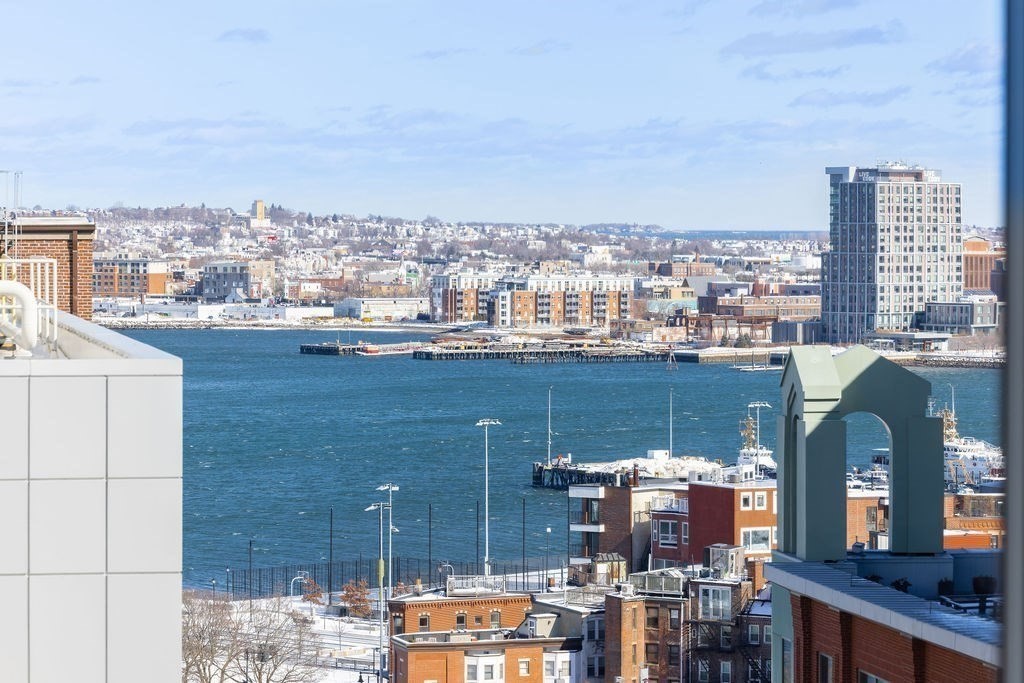 100 Lovejoy Wharf Unit PH1A, West End, Boston, MA 02114 - Image 14