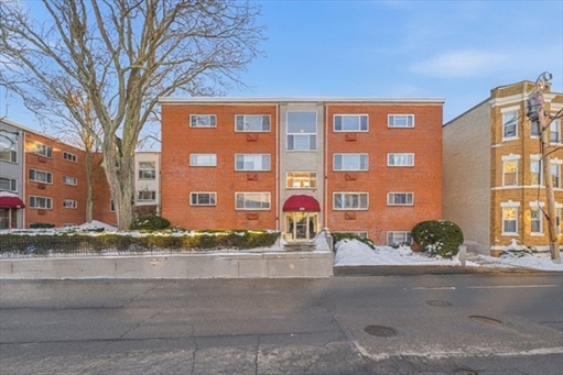 239 kelton st, Apt 41