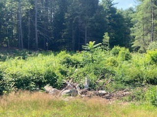83 Segur Lane, Belchertown, MA 01007