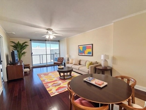 19 Winchester St, Apt 708