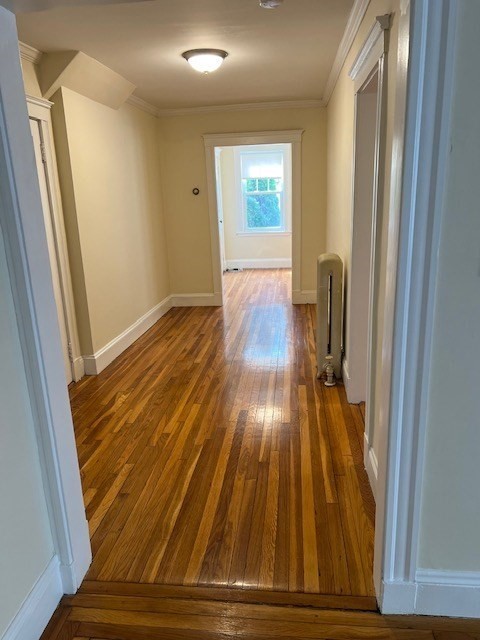 71 Palfrey Street Unit 71, Watertown, MA 02472 - Image 11