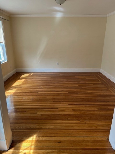 71 Palfrey Street Unit 71, Watertown, MA 02472 - Image 14