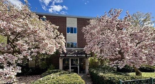 804 Centre St, Apt 2
