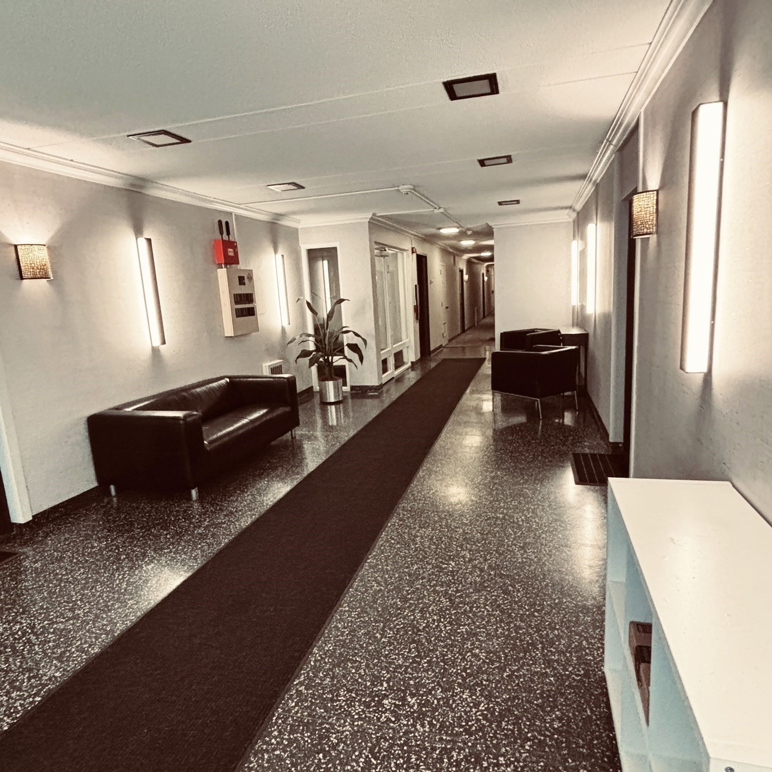 100 Marion Street Unit 11, Brookline, MA 02446 - Image 14
