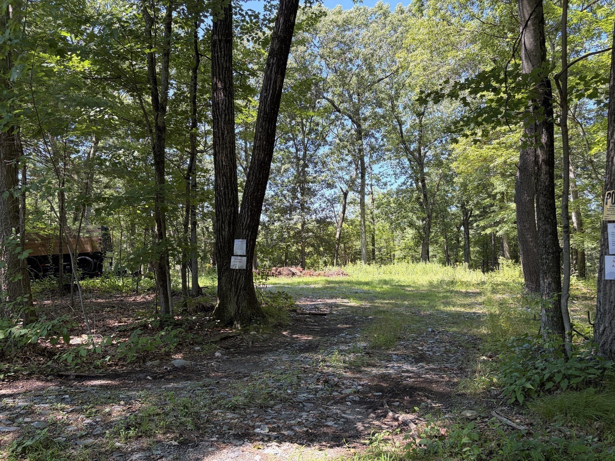 6 Durkee Ln, Westford, MA 01886