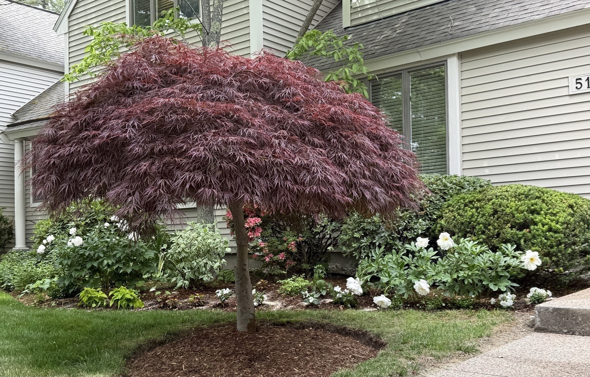 51 Brassie Way Unit 51, North Reading, MA 01864 - Image 32