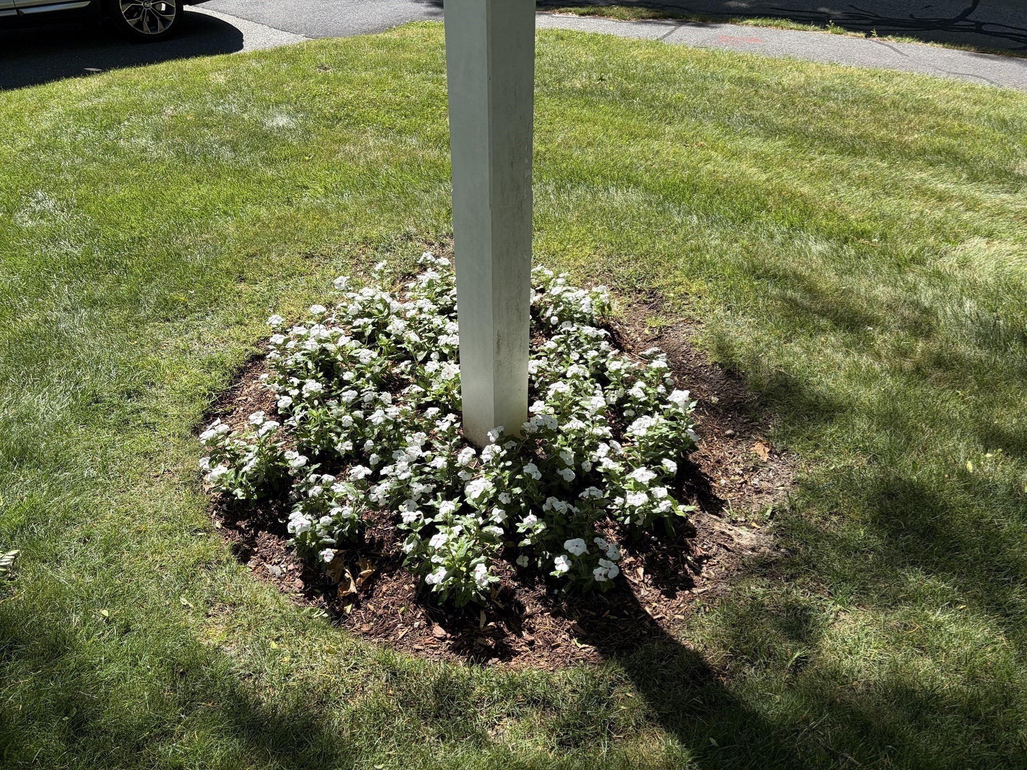 51 Brassie Way Unit 51, North Reading, MA 01864 - Image 33