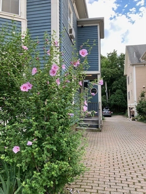 28 Mt. Auburn St., Apt 1