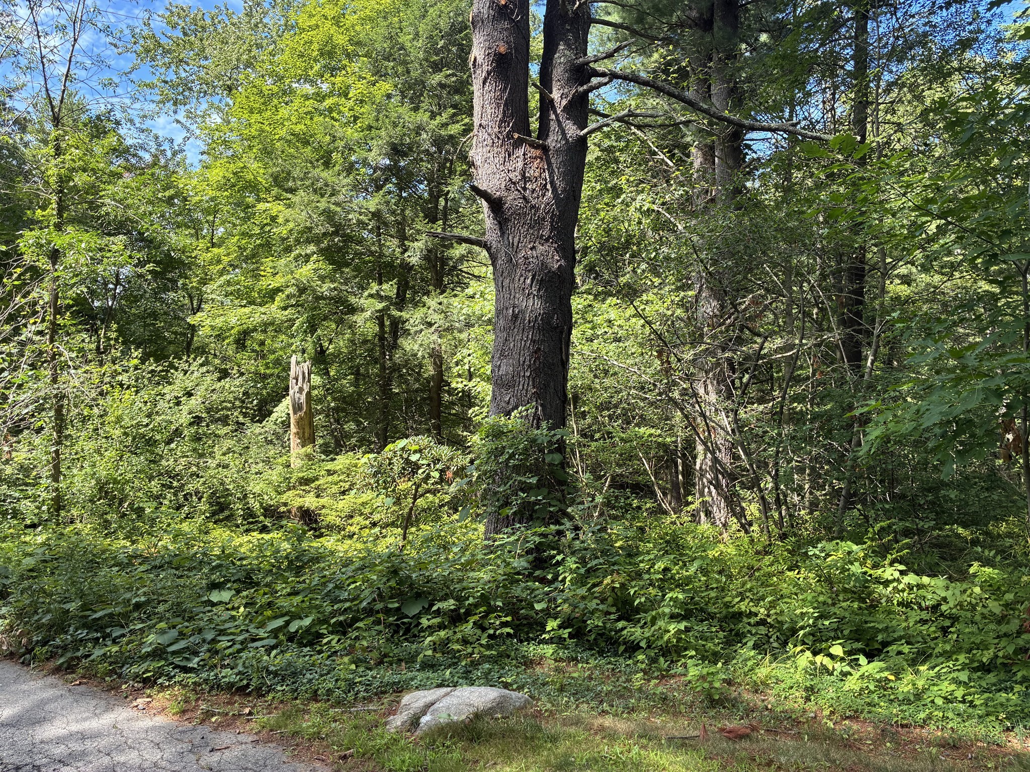 0 Meyer Ln, Hamilton, MA 01982