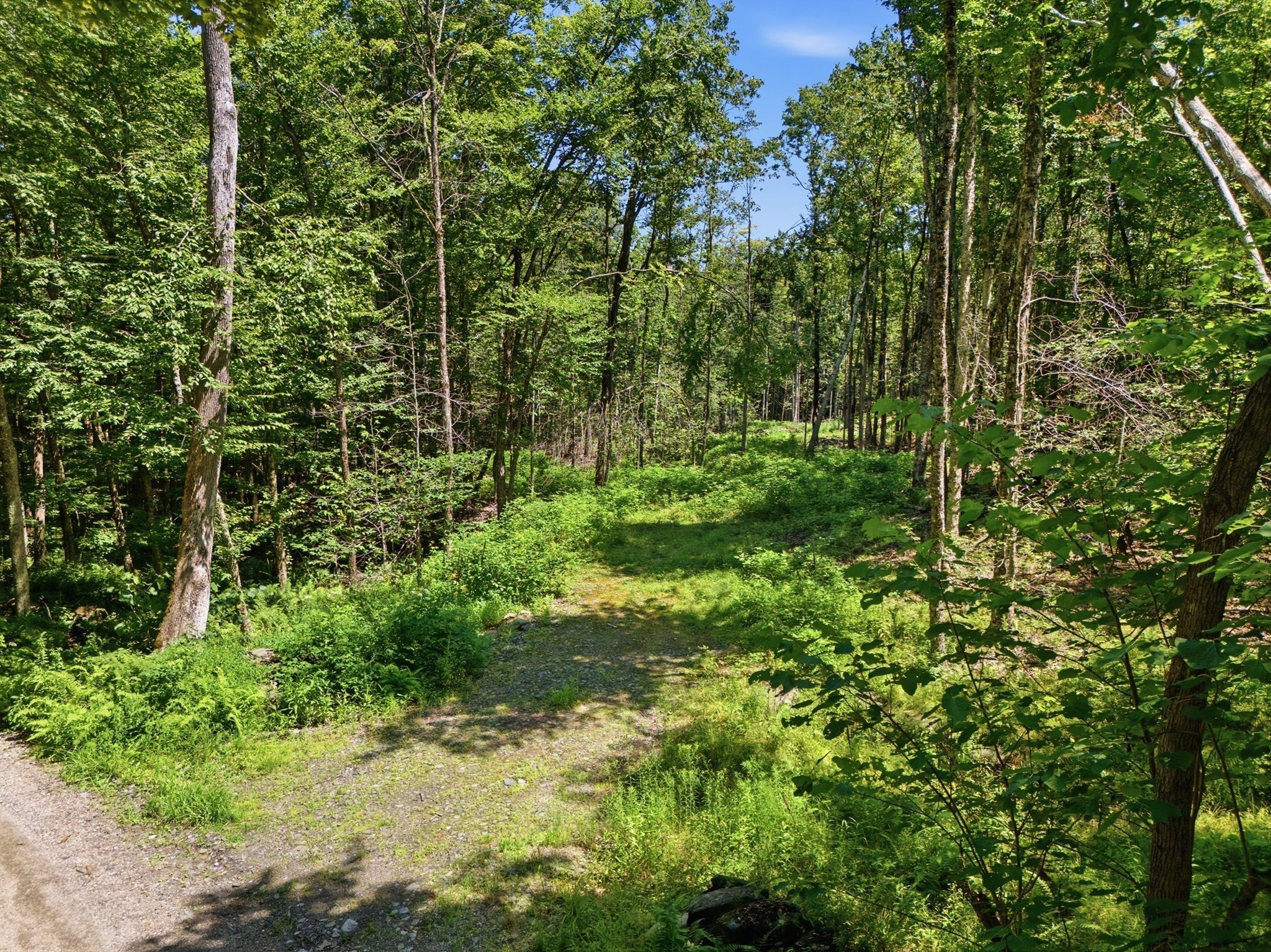0 Thayer Hill Road, Worthington, MA 01098