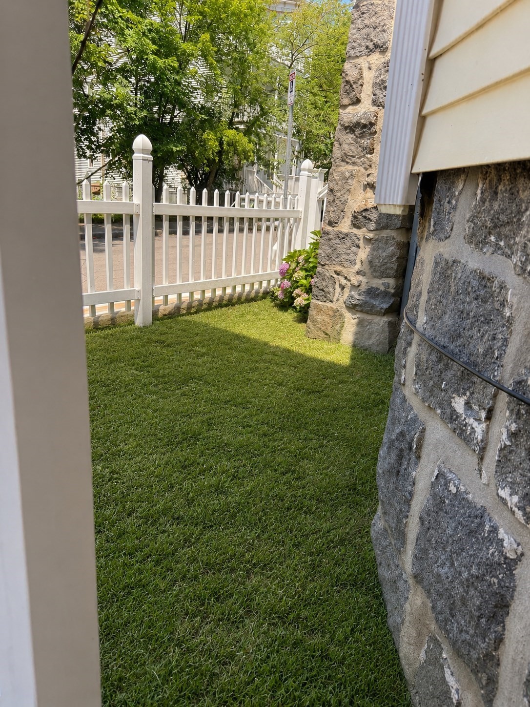 22 Fernboro St, Dorchester, Boston, MA 02121 - Image 24