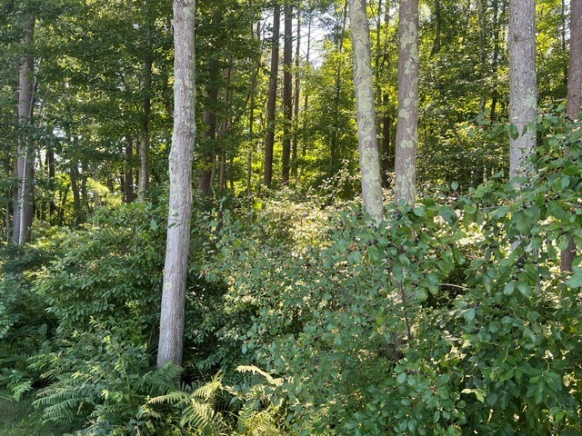 33 Coburn Rd, Windham, NH 03087