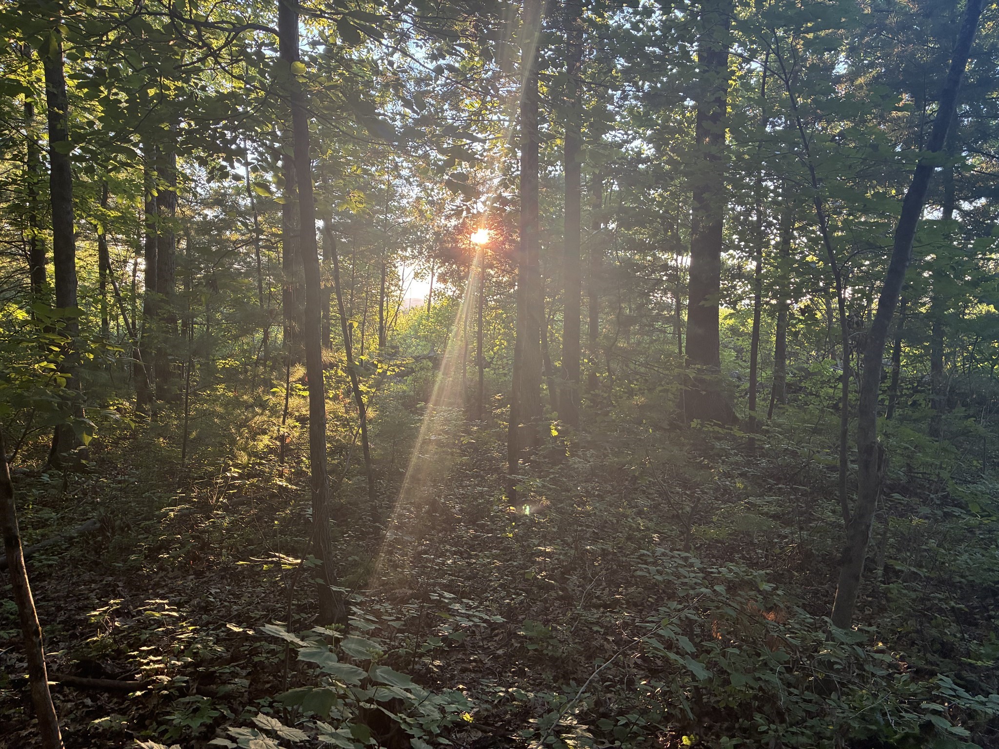 0 Lower Gore Rd, Webster, MA 01570