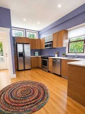 249 Williow, Apt 1