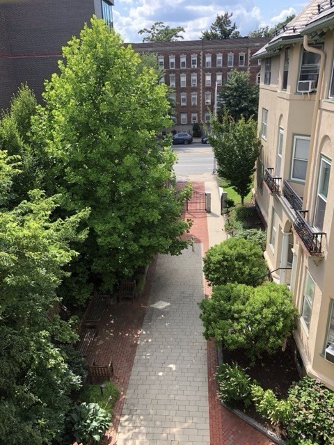 1619 Massachusetts Ave Unit 36, Cambridge, MA 02138