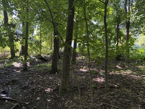 15 Myrna Rd