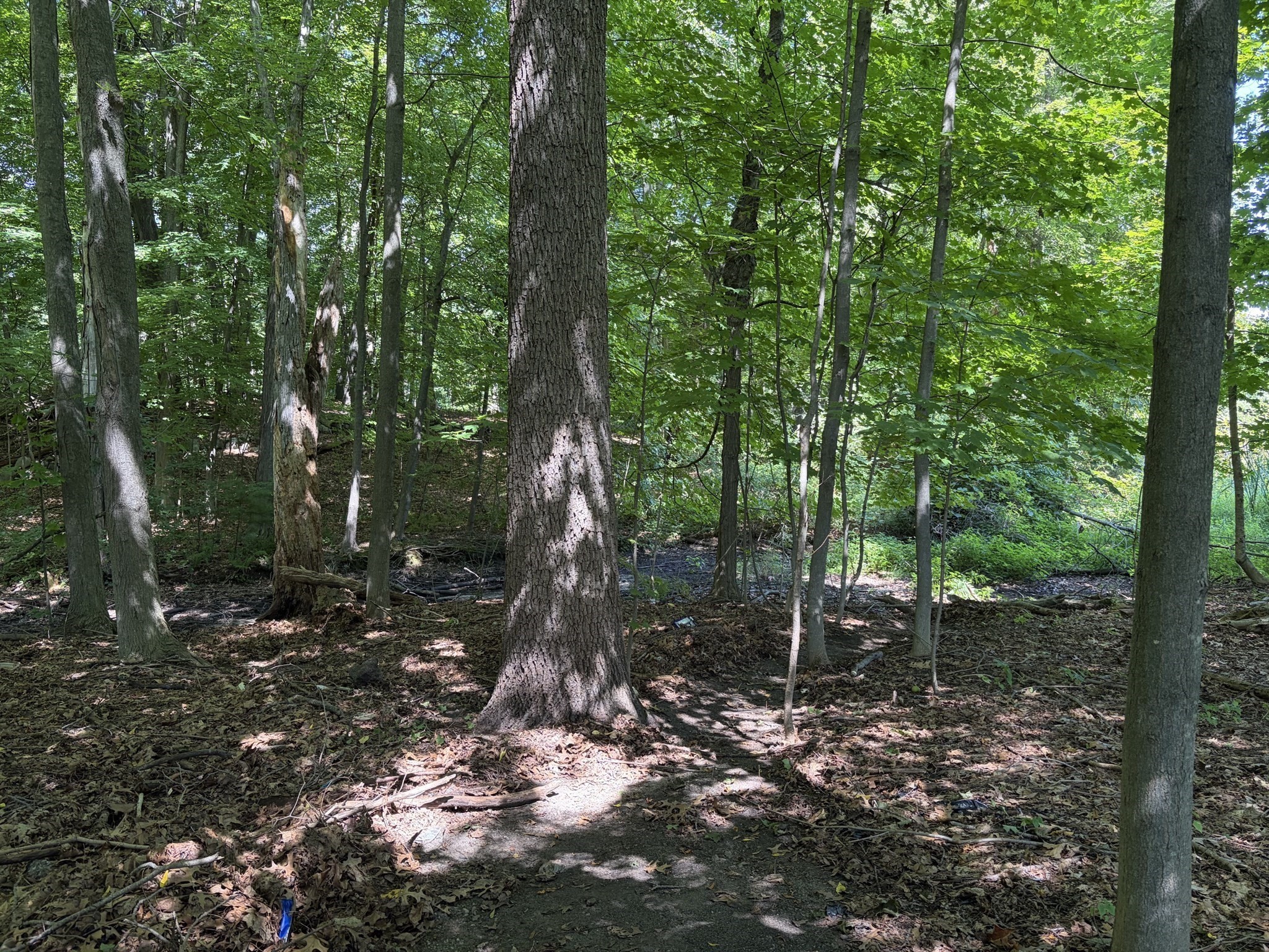 15 Myrna Rd, Lexington, MA 02420 - Image 4