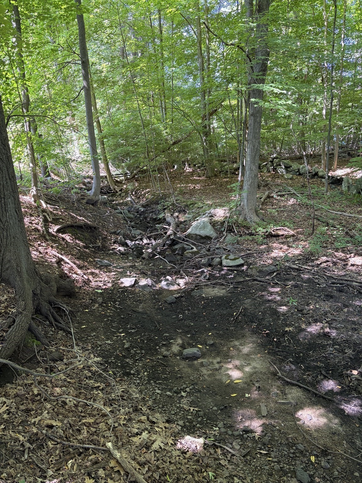 15 Myrna Rd, Lexington, MA 02420 - Image 6