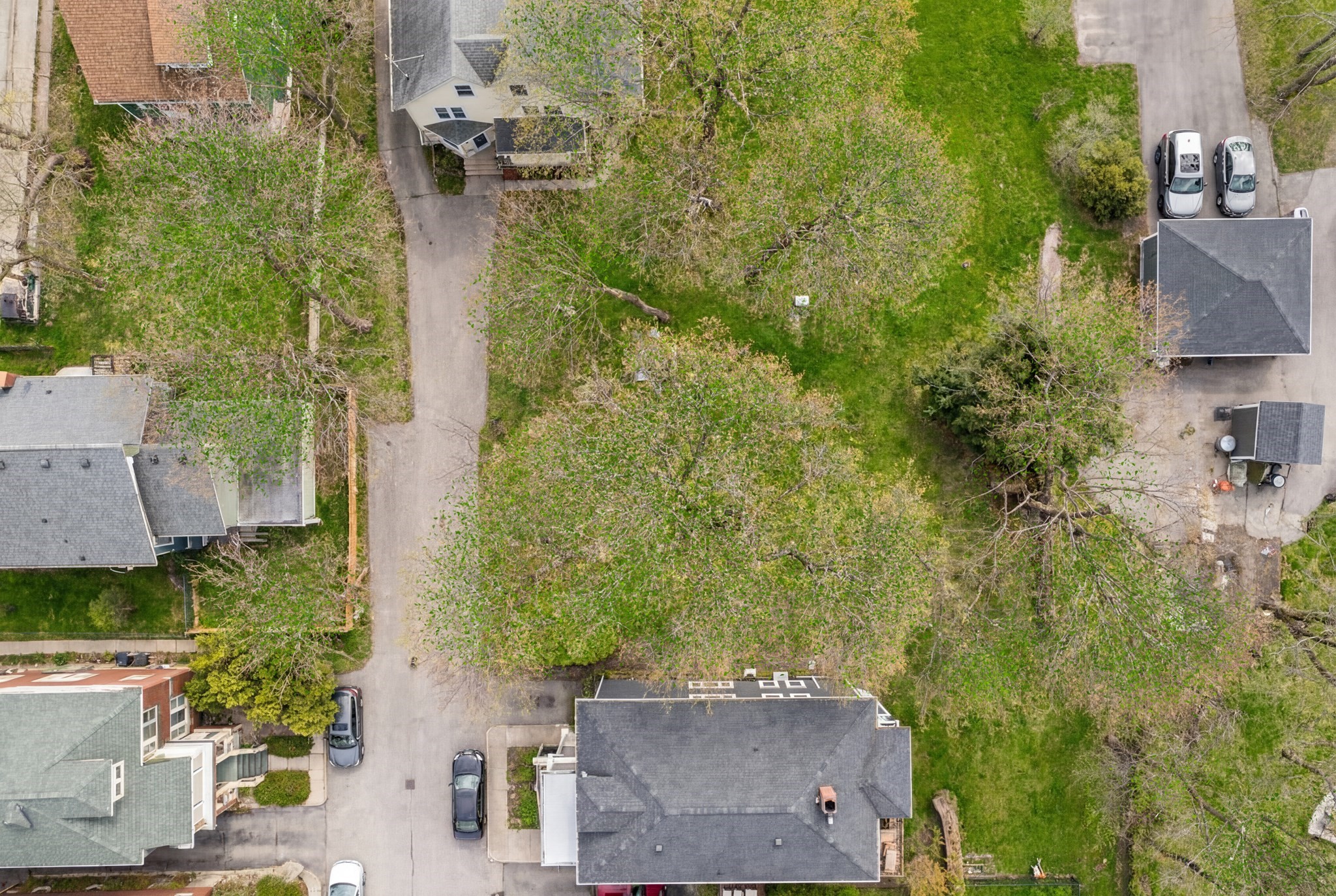 18 Robeson Street, Jamaica Plain, Boston, MA 02130 - Image 2