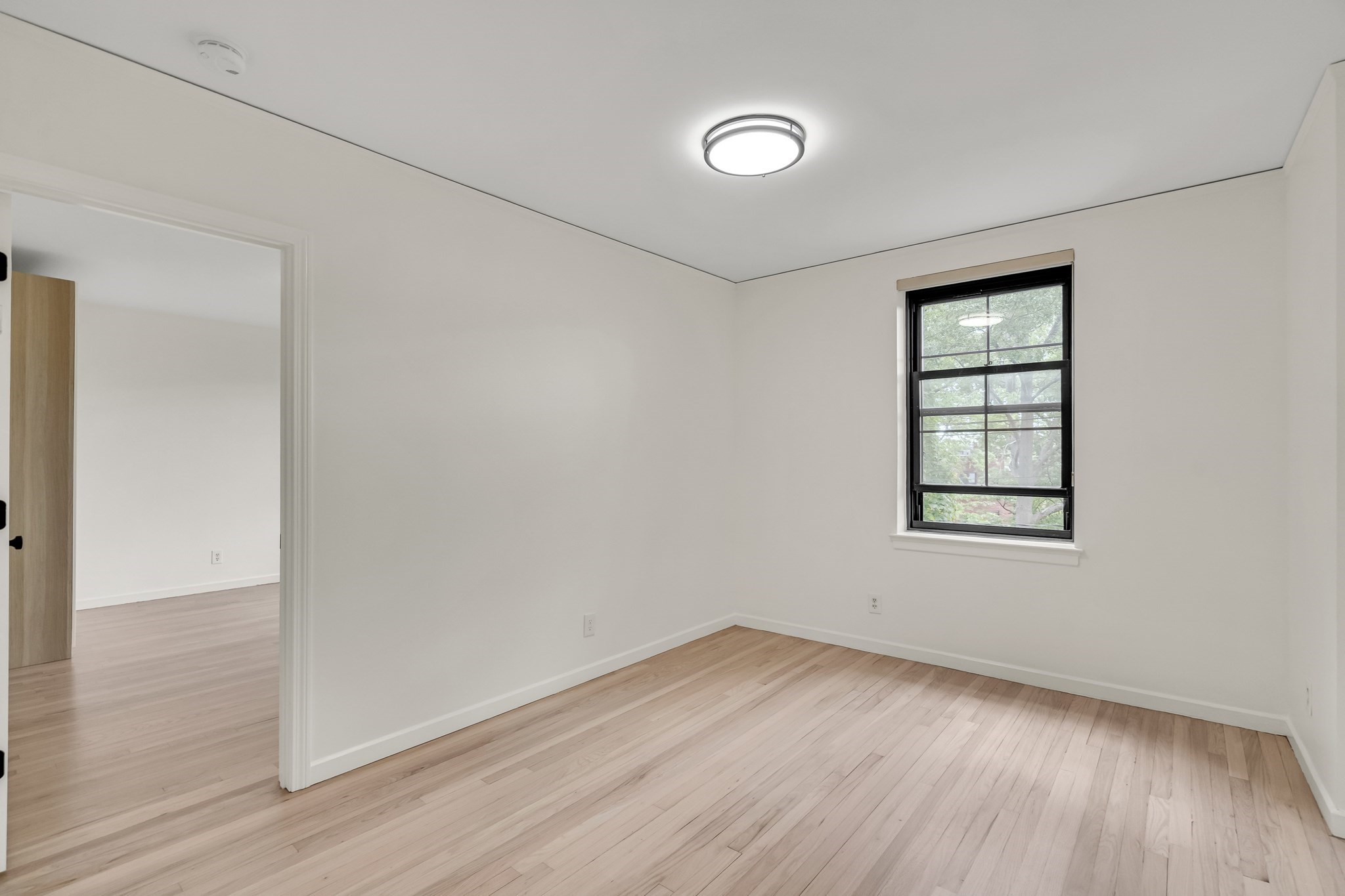 57 Harvard Ave Unit 5, Brookline, MA 02446 - Image 4