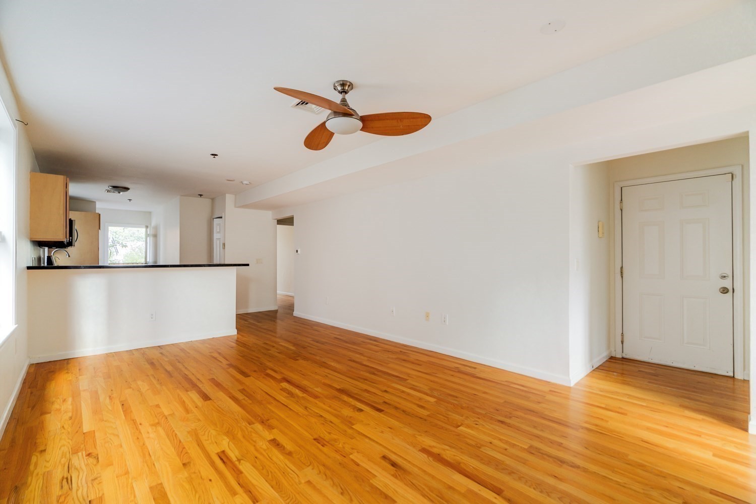 28 Forbes St Unit 1, Jamaica Plain, Boston, MA 02130 - Image 7
