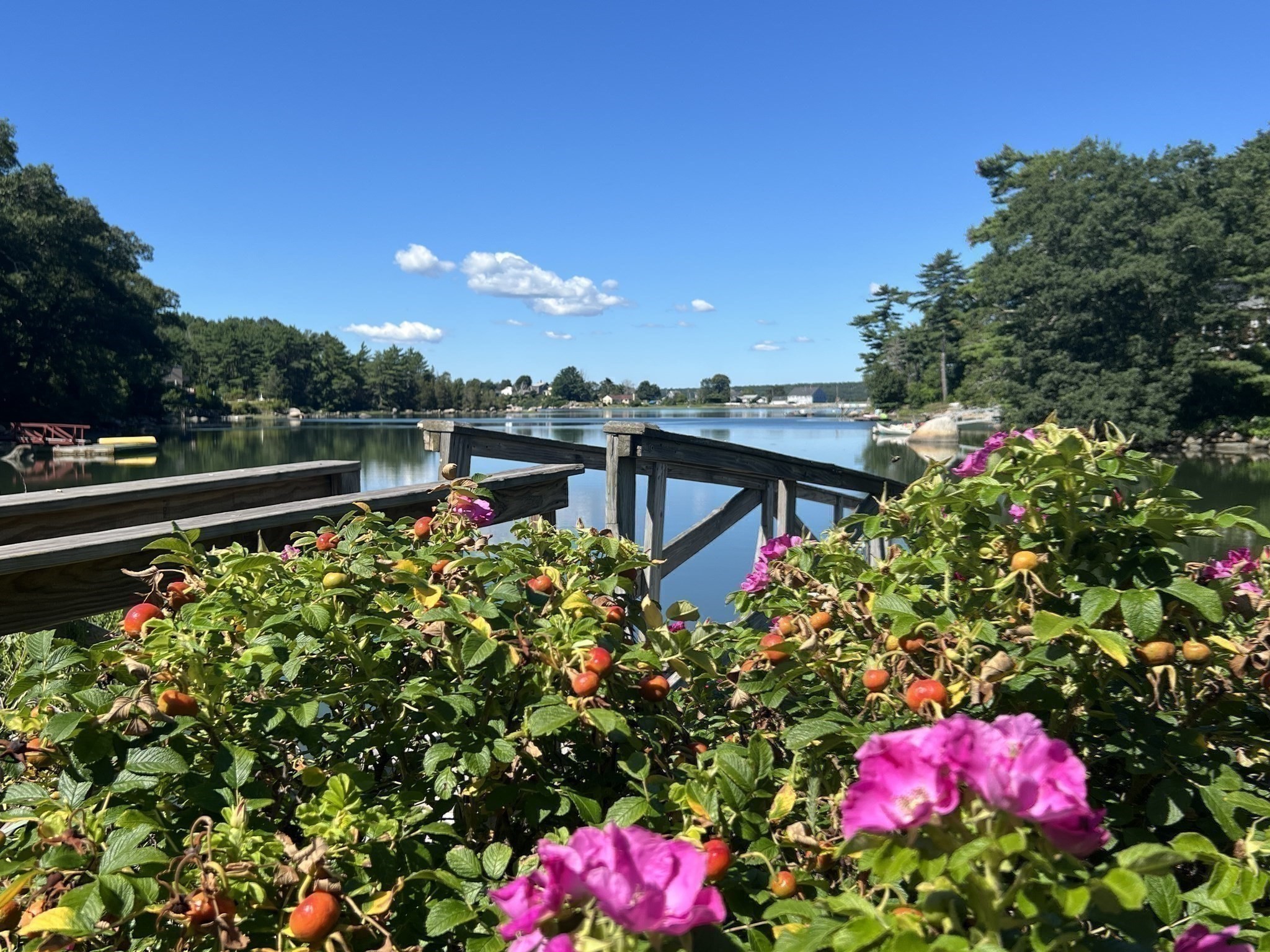 79 Dennison Street, Gloucester, MA 01930 - Image 39