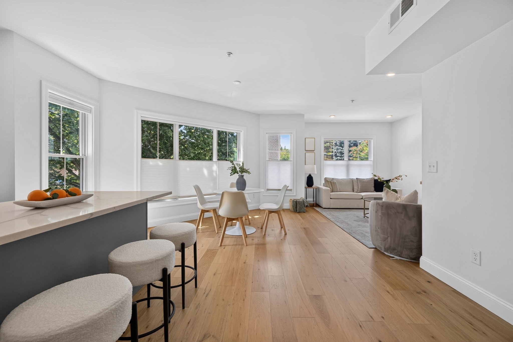 266 Amory St Unit 2, Jamaica Plain, Boston, MA 02130 - Image 9