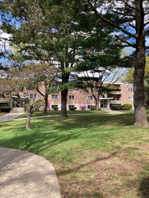 20 Jacqueline Road, Apt F