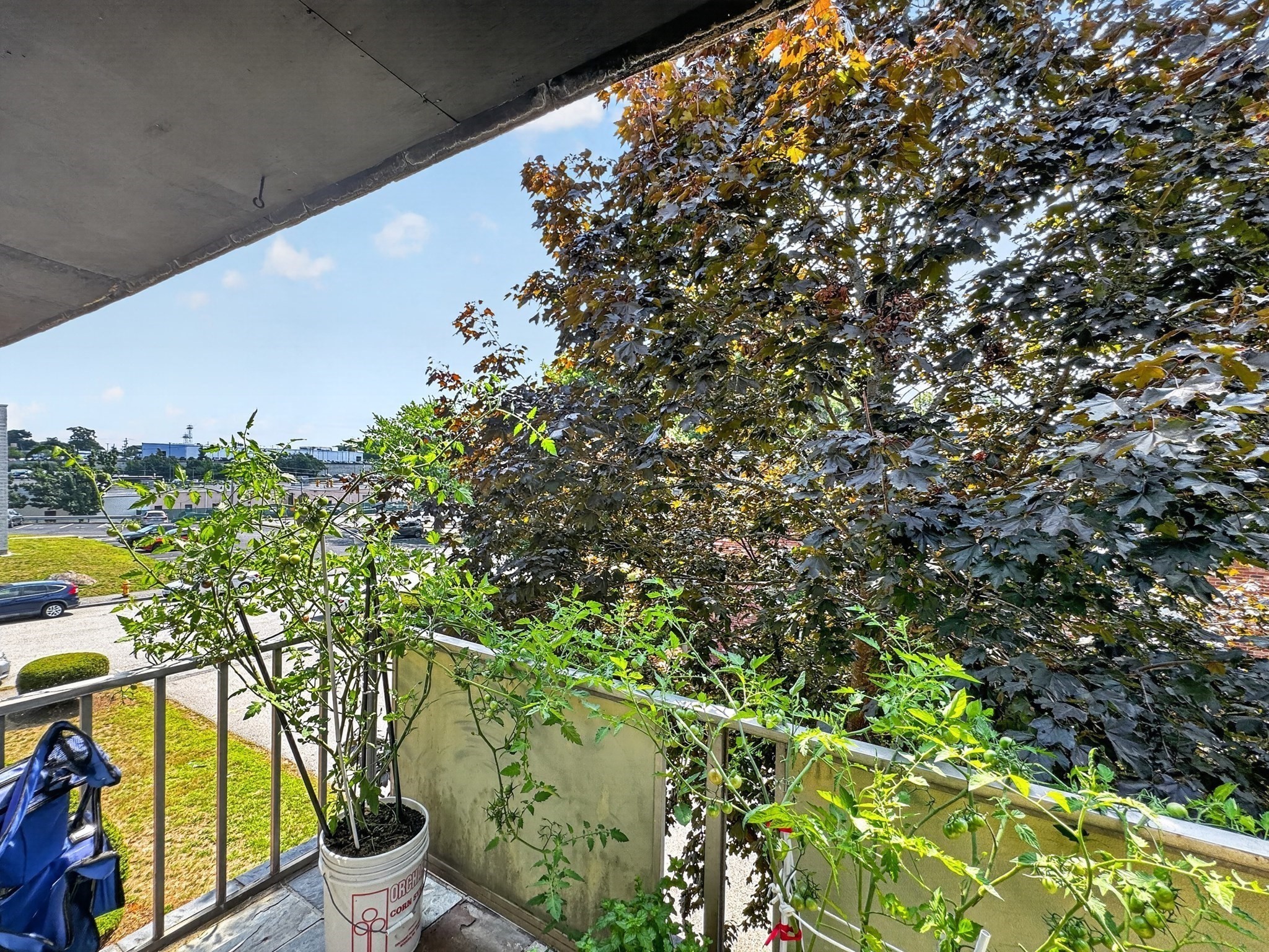 20 Skyline Dr Unit 11, Braintree, MA 02184 - Image 19