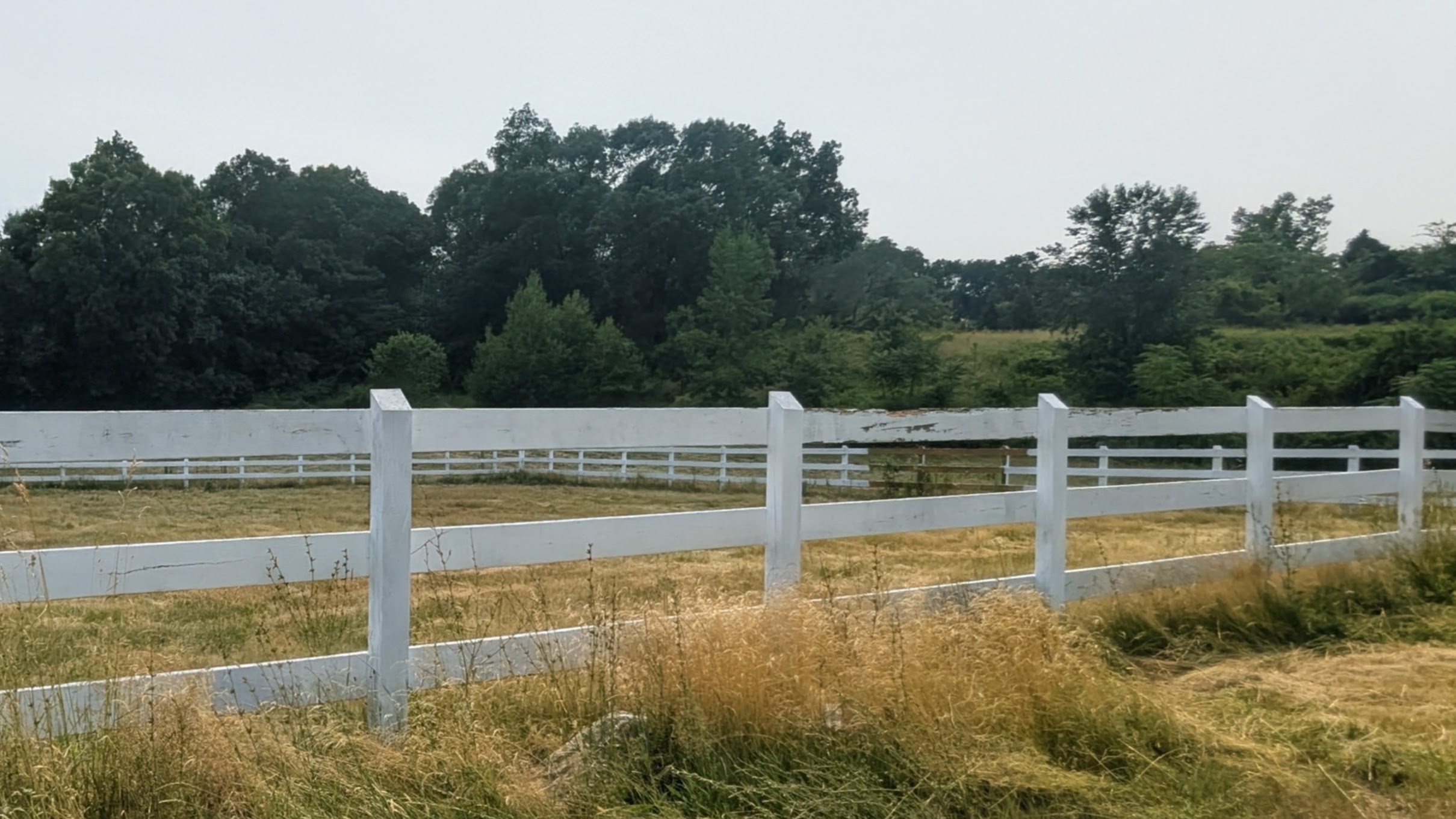 55 Allen St, Lexington, MA 02420 - Image 16