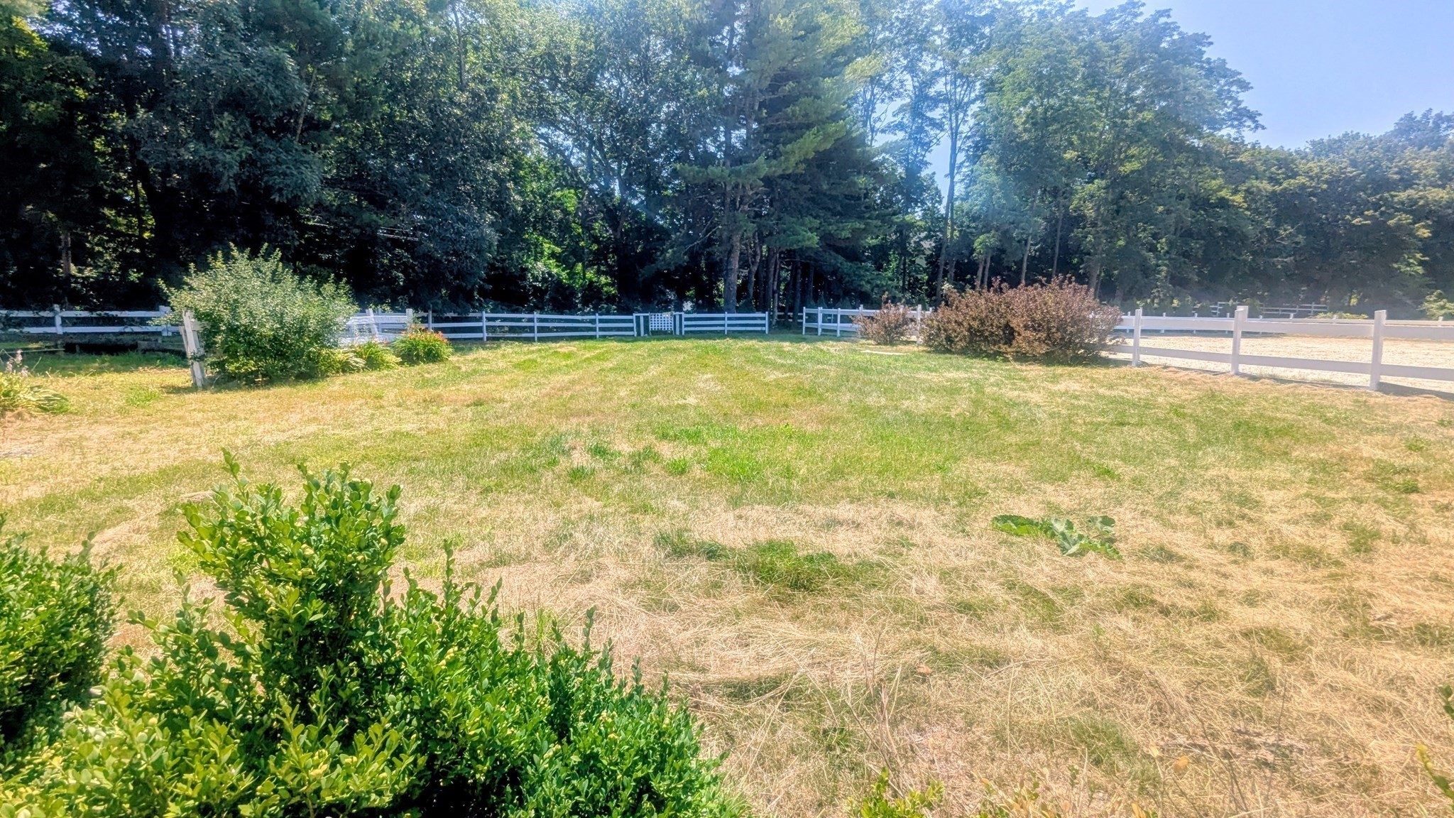 55 Allen St, Lexington, MA 02420 - Image 20