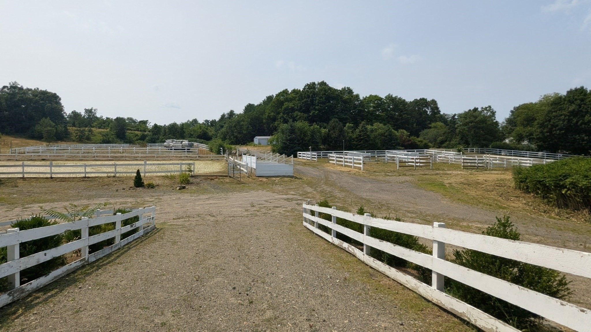 55 Allen St, Lexington, MA 02420 - Image 3