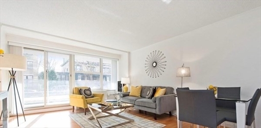 295 Harvard Street, Apt 504