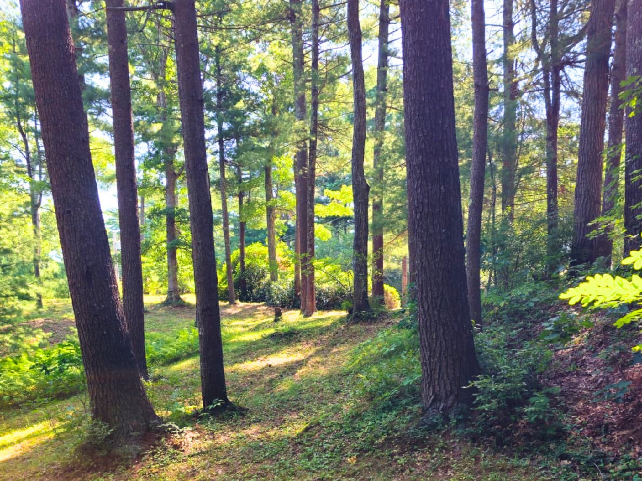 0 Nel Bonney Road, Plympton, MA 02367