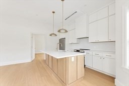 3915 Washington Street Unit 2, Jamaica Plain, Boston, MA 02130 - Image 2