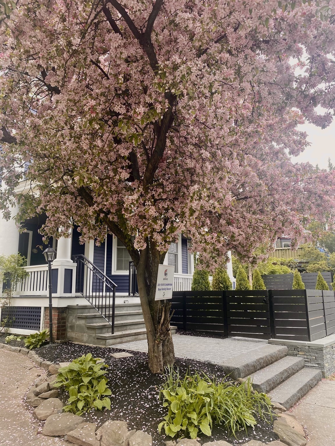 38 Fuller Street, Brookline, MA 02446 - Image 3